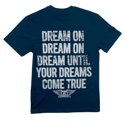 Dream On till your dream come true aerosmith music band tshrit in India by silly punter